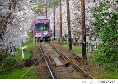 桜のトンネルと電車 桜のトンネルと電車 119637347