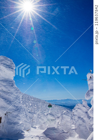 山形蔵王の樹氷 119637842