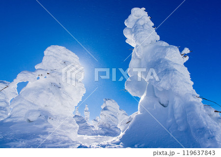 山形蔵王の樹氷 山形蔵王の樹氷 119637843