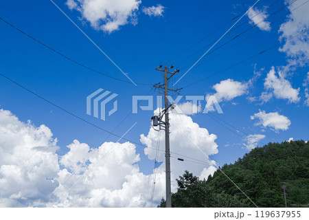 青い空と夏雲と電柱 青い空と夏雲と電柱 119637955