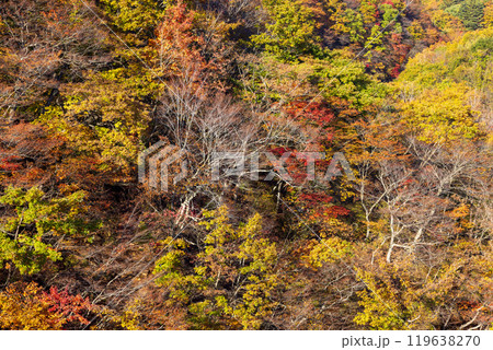 岩手県の紅葉 岩手県の紅葉 119638270