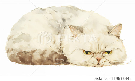 不機嫌そうな猫 不機嫌そうな猫 119638446