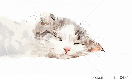 猫の寝顔 119638484