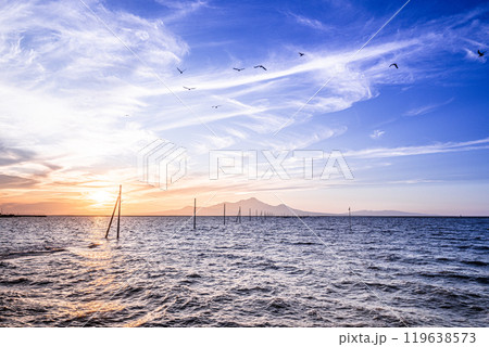 長部田海床路に沈む夕日と渡り鳥 長部田海床路に沈む夕日と渡り鳥 119638573