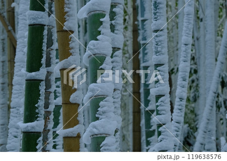 京都の雪の竹林の積雪模様 119638576