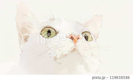 猫のアップ 猫のアップ 119638586