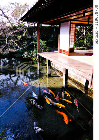 四明荘庭園の湧水 119638739