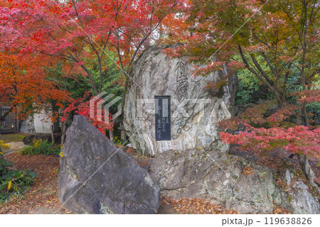御土居の紅葉の石碑 御土居の紅葉の石碑 119638826