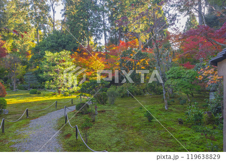 京都 臥雲山即宗院 紅葉に包まれた庭園 京都 臥雲山即宗院 紅葉に包まれた庭園 119638829