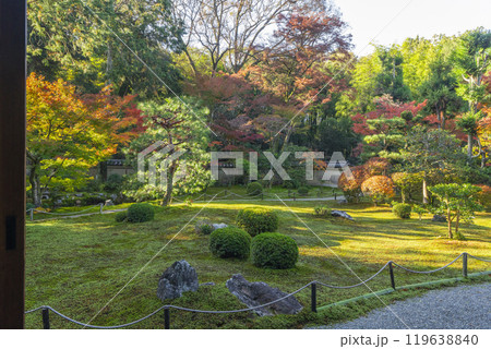 京都　臥雲山即宗院　紅葉に包まれた庭園 119638840