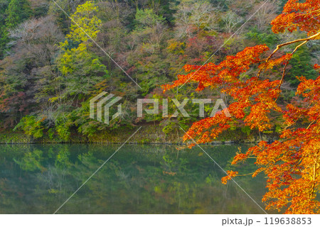 京都嵐山　紅葉　桂川周辺　嵐峡 119638853