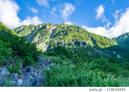 秩父沢から見上げる大ノマ岳　北アルプスの双六岳の登山（小池新道） 119638895