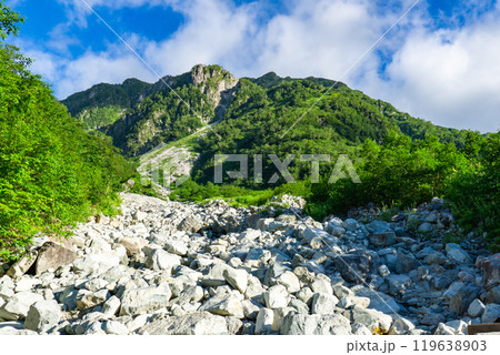 秩父沢から見上げる大ノマ岳　北アルプスの双六岳の登山（小池新道） 119638903