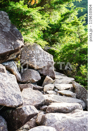 小池新道のチボ岩　北アルプスの双六岳の登山 119638904