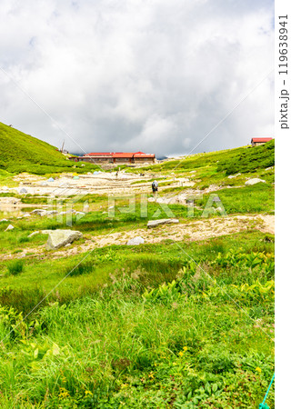 双六小屋へ向かう登山道　北アルプスの双六岳の登山 119638941