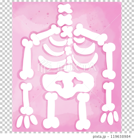 Hand drawn watercolor illustration of a pink x-ray for use as illustration. Hand drawn watercolor illustration of a pink x-ray for use as illustration. 119638984