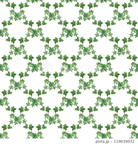 Ivy plant geometric seamless pattern. Watercolor botanical illustration. Green lush hedera helix painted image. Garden evergreen hedera plant seamless pattern element on white background Ivy plant geometric seamless pattern. Watercolor botanical illustration. Green lush hedera helix painted image. Garden evergreen hedera plant seamless pattern element on white background 119639032