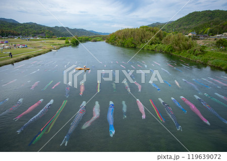 山口県は佐波川、川に泳ぐ鯉のぼり 119639072