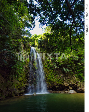 沖縄県大宜味村、癒しの地として有名なター滝 119639308