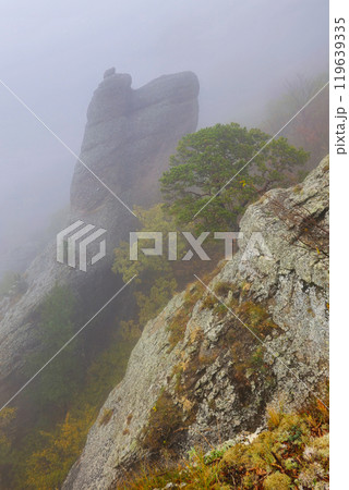 Foggy view at the mountain. 119639335