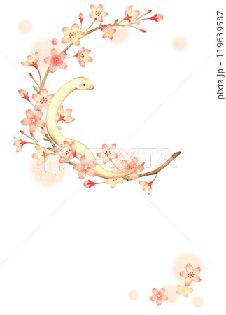 白蛇と桜の飾り枠の巳年の年賀状　縦　手描き色鉛筆画 119639587