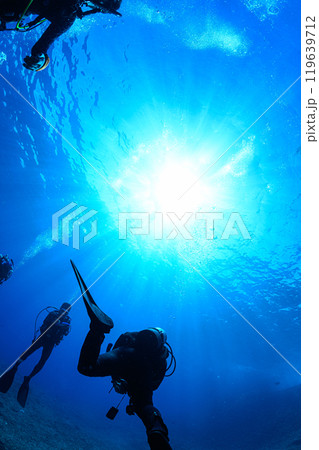 海中の風景　宮古島 119639712