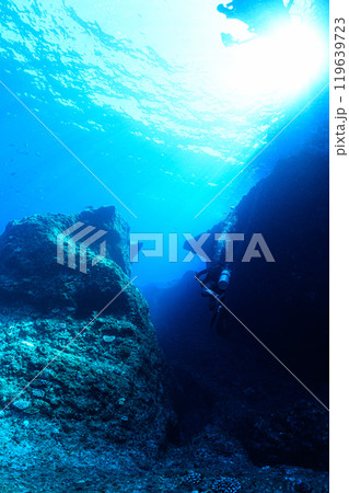海中の風景　宮古島 119639723