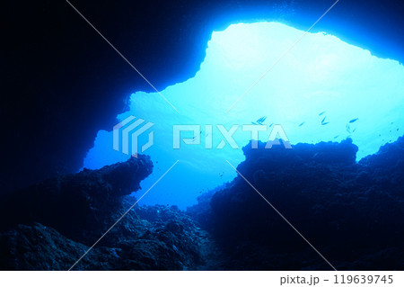 海中の風景　宮古島 119639745