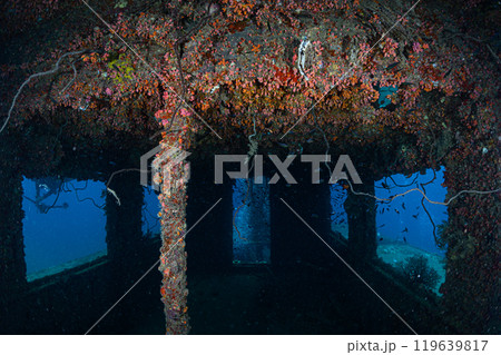 沈没船　海中の風景　宮古島 119639817