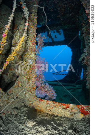 沈没船　海中の風景　宮古島 119639832