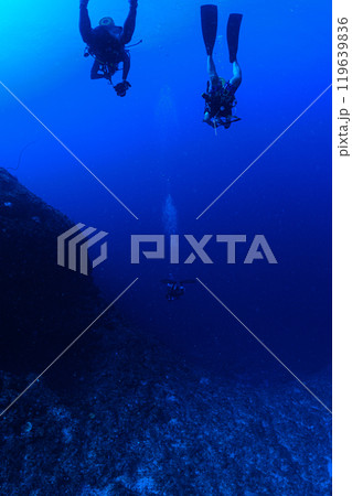 海中の風景 宮古島 海中の風景 宮古島 119639836