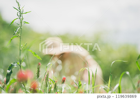 ストロベリーキャンドルの花摘みをする女性 ストロベリーキャンドルの花摘みをする女性 119639869