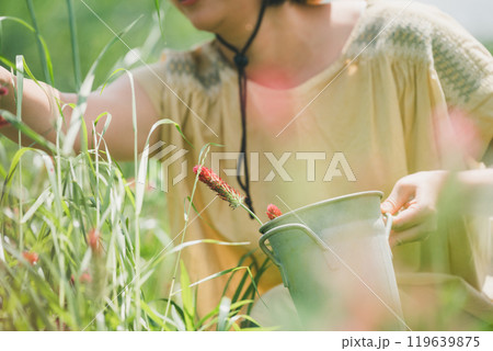 ストロベリーキャンドルのお花摘み 119639875