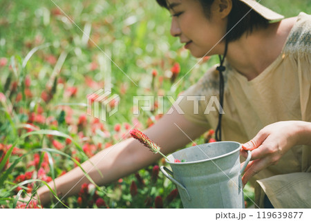 ストロベリーキャンドルのお花摘み 119639877