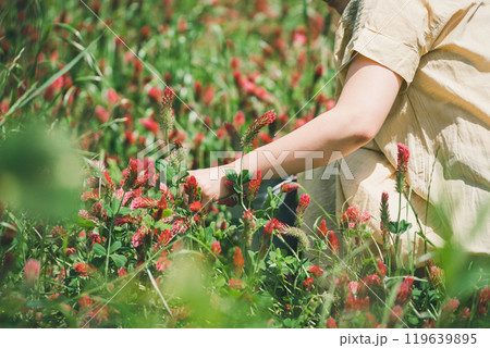 ストロベリーキャンドルのお花摘み ストロベリーキャンドルのお花摘み 119639895