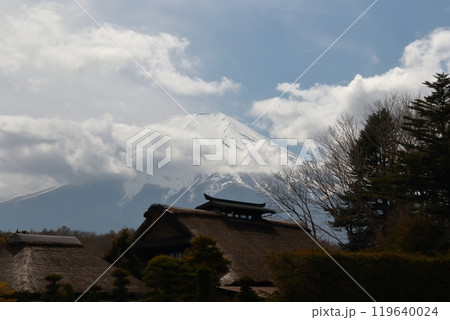 山梨県忍野八海 119640024