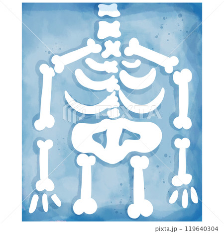 Hand-painted watercolor blue X-ray illustration for use as illustration. Hand-painted watercolor blue X-ray illustration for use as illustration. 119640304