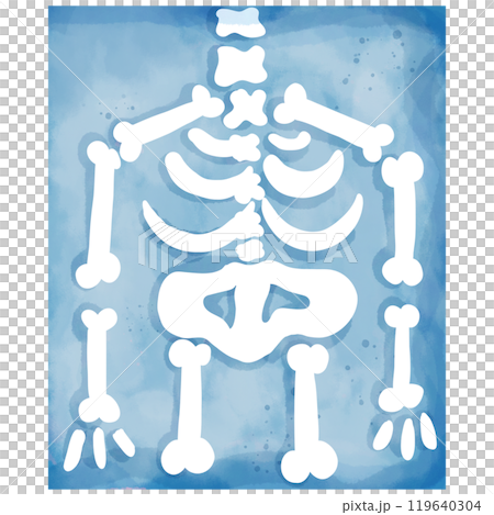 Hand-painted watercolor blue X-ray illustration for use as illustration. Hand-painted watercolor blue X-ray illustration for use as illustration. 119640304