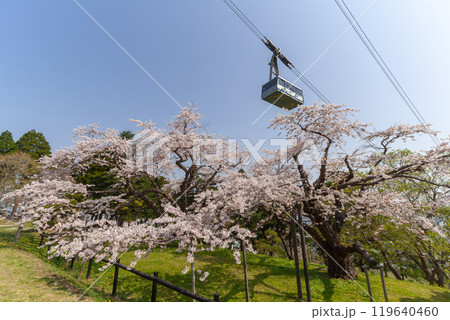 桜のある公園 119640460