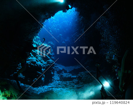 海中の風景　宮古島 119640824