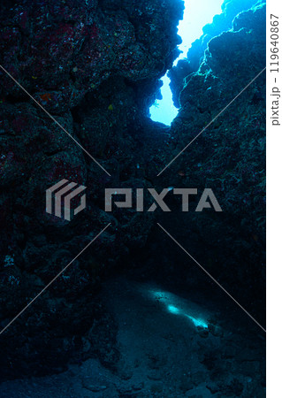 海中の風景　宮古島 119640867