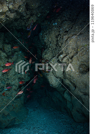 海中の風景　宮古島 119640869