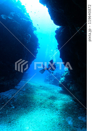海中の風景 宮古島 海中の風景 宮古島 119640872