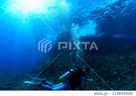 海中の風景　宮古島 119640886