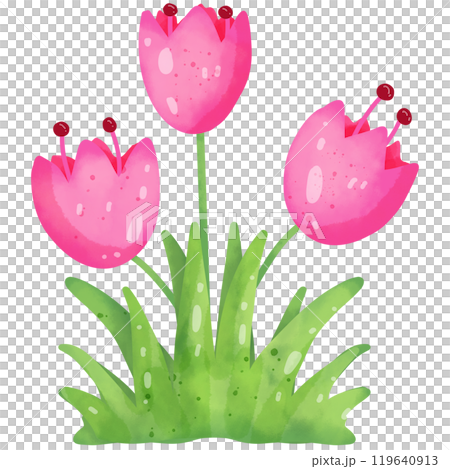 Hand-painted watercolor painting of pink flowers for illustration purposes. 119640913