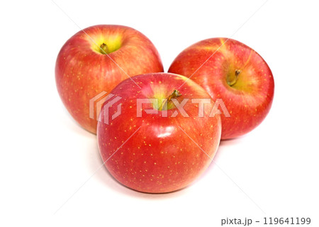 りんご（秋田ふじ） 119641199
