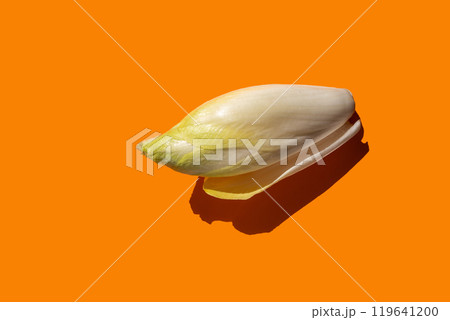 Abstract composition with endive on orange background, top view 119641200