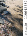 砂浜 119642532