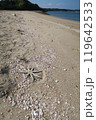 海岸 119642533