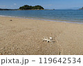 砂浜 119642534